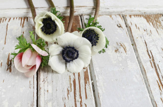 Anemone: Čarovný kvietok do jedinečnej svadobnej výzdoby