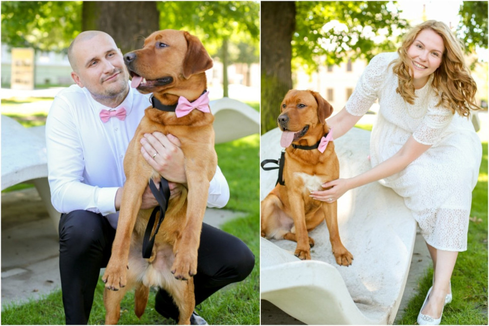 pes na svadobných fotografiách