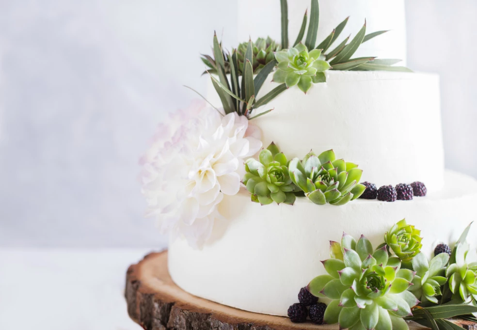 svadobná torta sukulenty