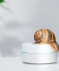Trend alebo prešľap? Živočíšne ingrediencie v skincare pod mikroskopom