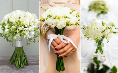 Frézia vo svadobnej výzdobe: Čím si ťa tieto kvety získajú?